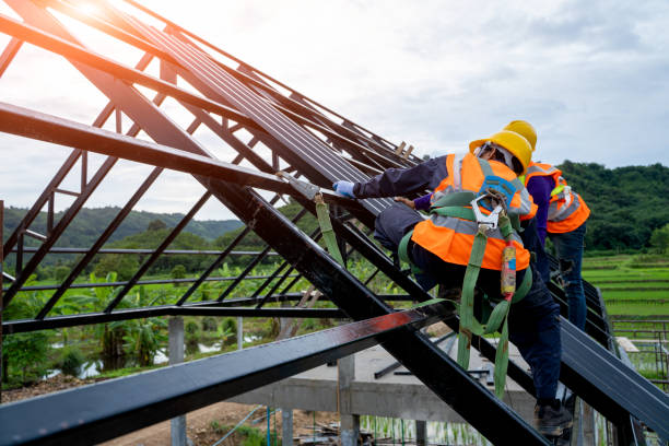 Best Roof Maintenance Services  in Anniston, AL