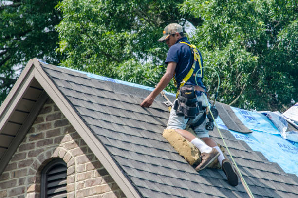 Best Residential Roofing Contractor  in Anniston, AL